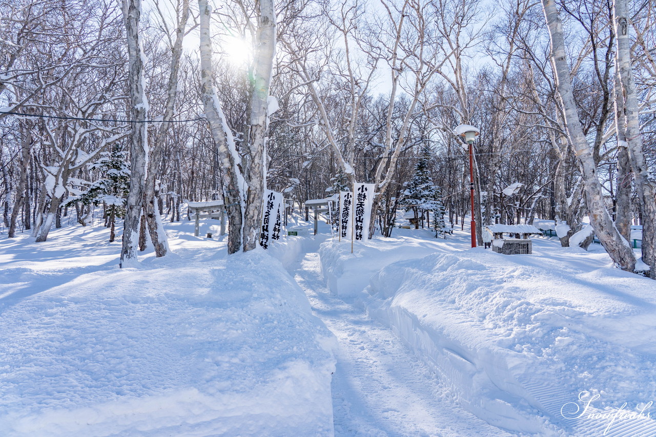 小樽天狗山スキー場　大雲海発生！息を吞む絶景とドライパウダー。北海道の雪山の魅力が詰まったローカルゲレンデを滑る！